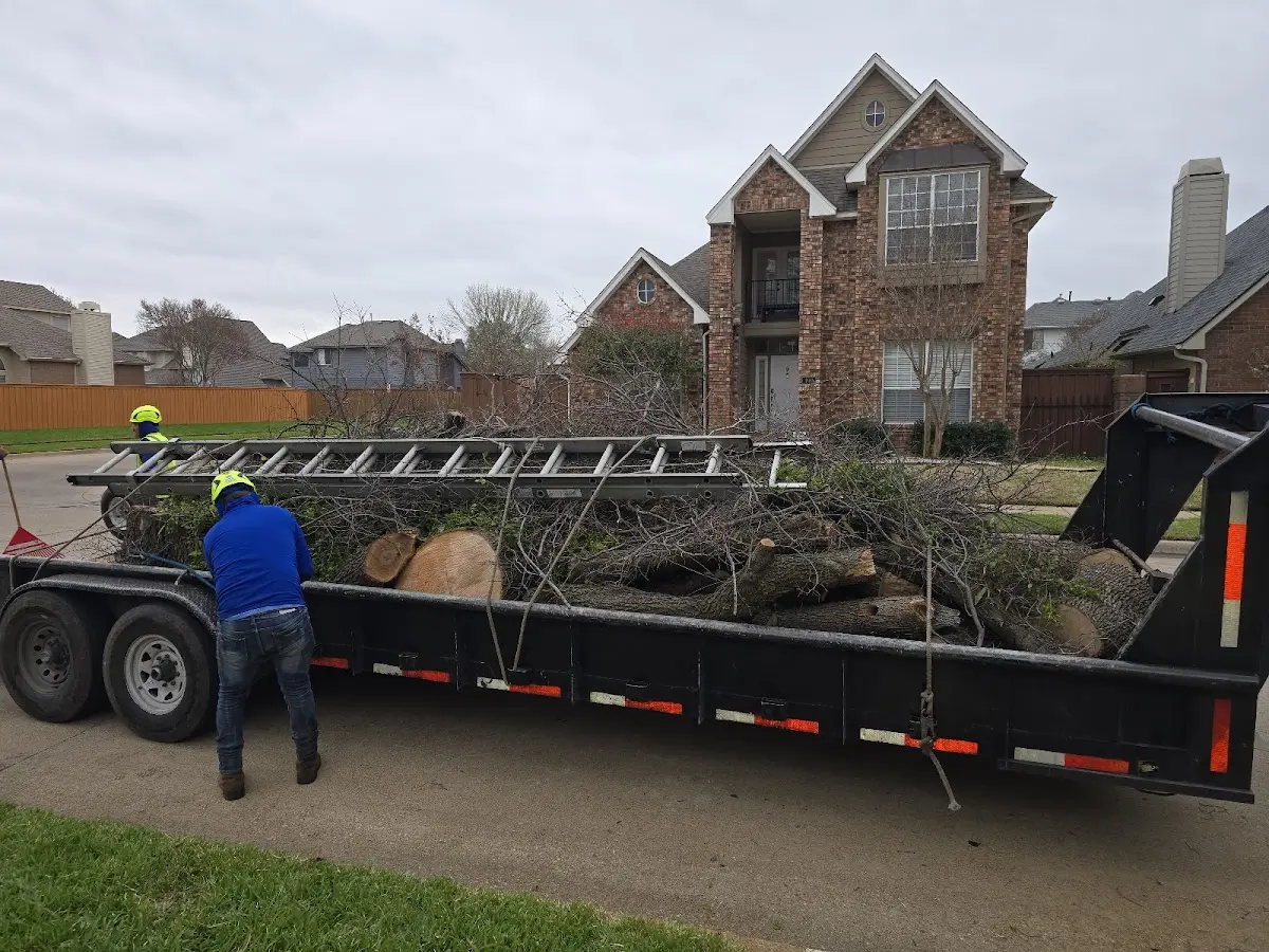 Expert Lot Clearing with proper safety equipment in Aledo
